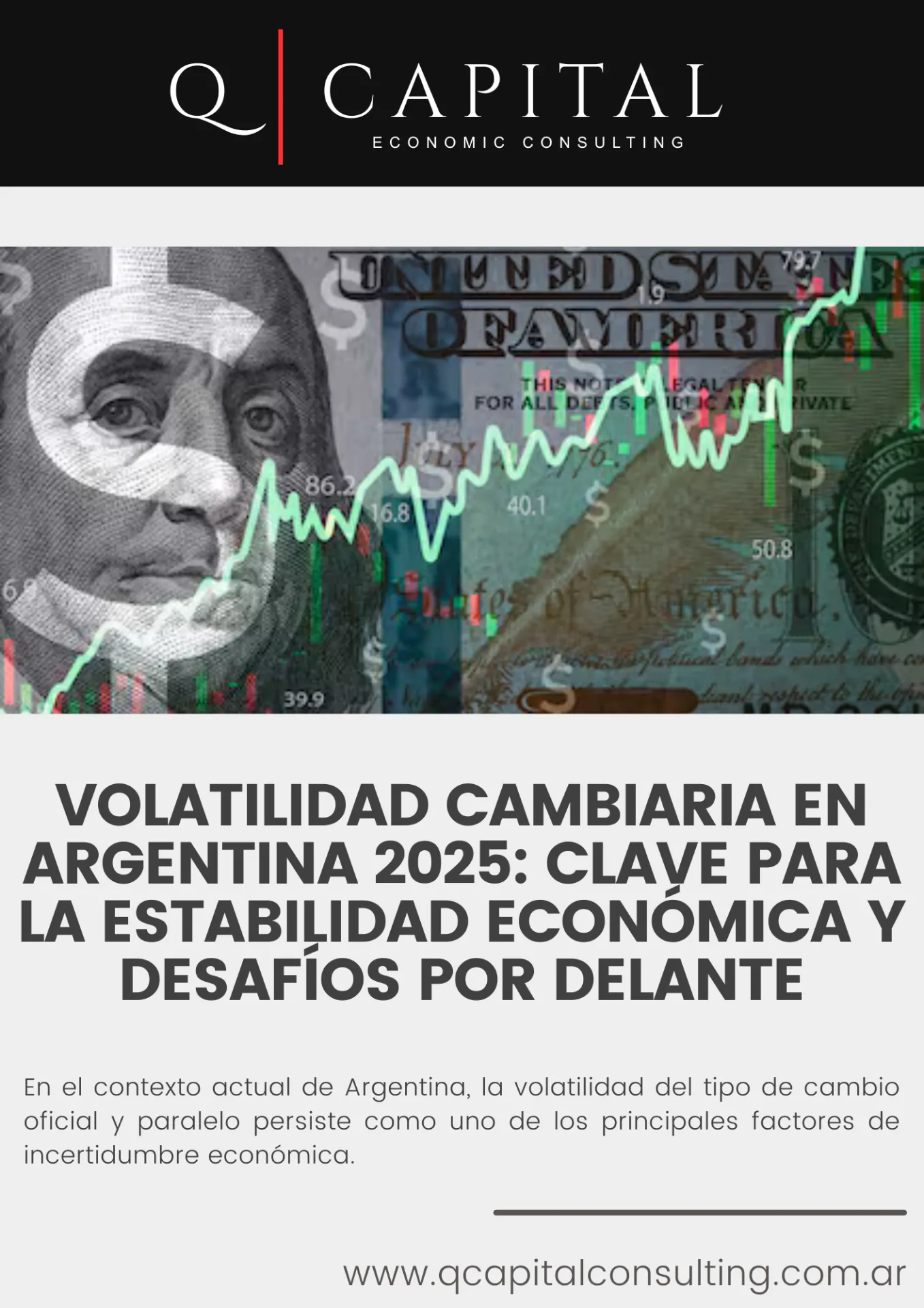 Volatilidad cambiaria en Argentina 2025