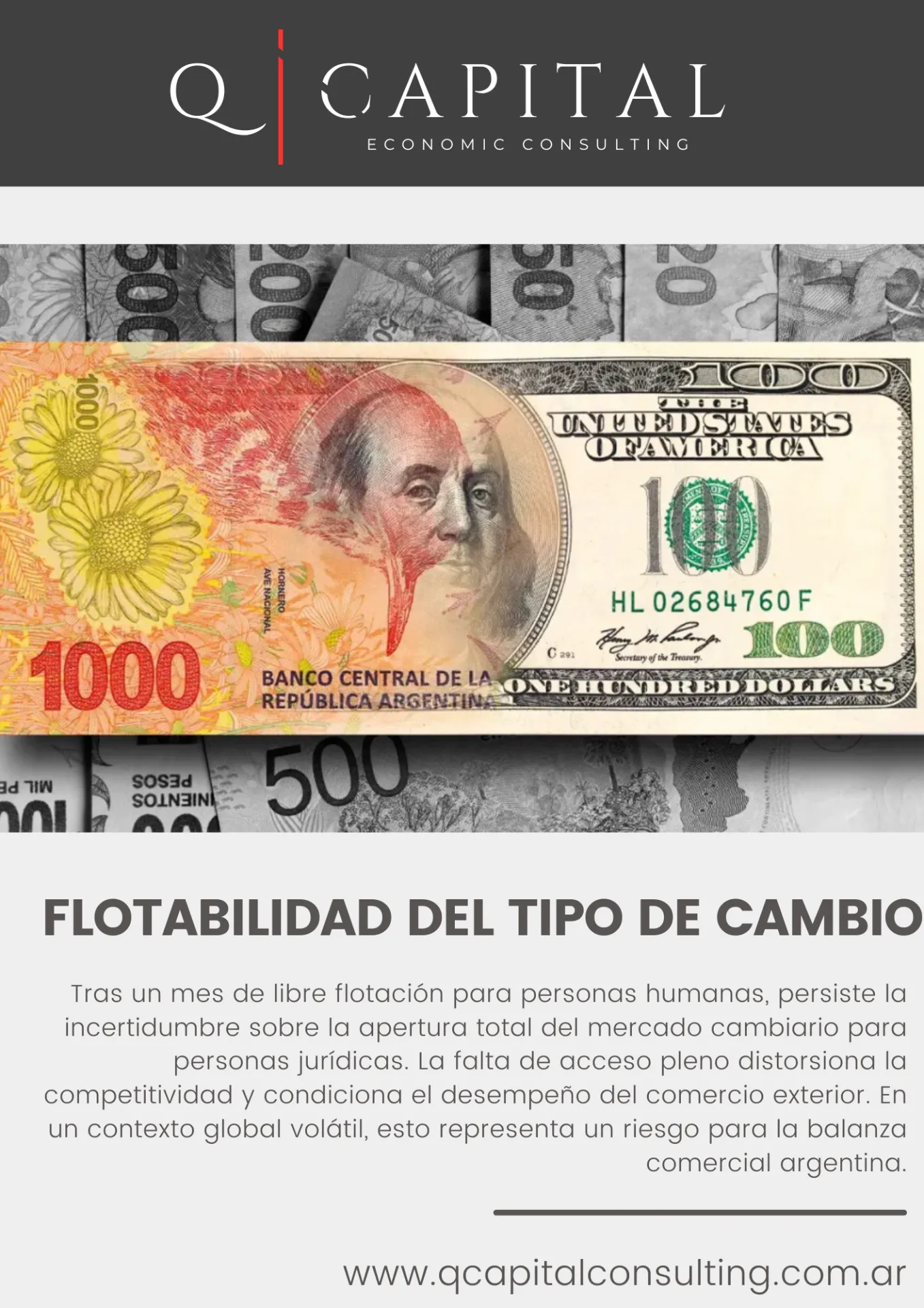 Flotabilidad del tipo de cambio