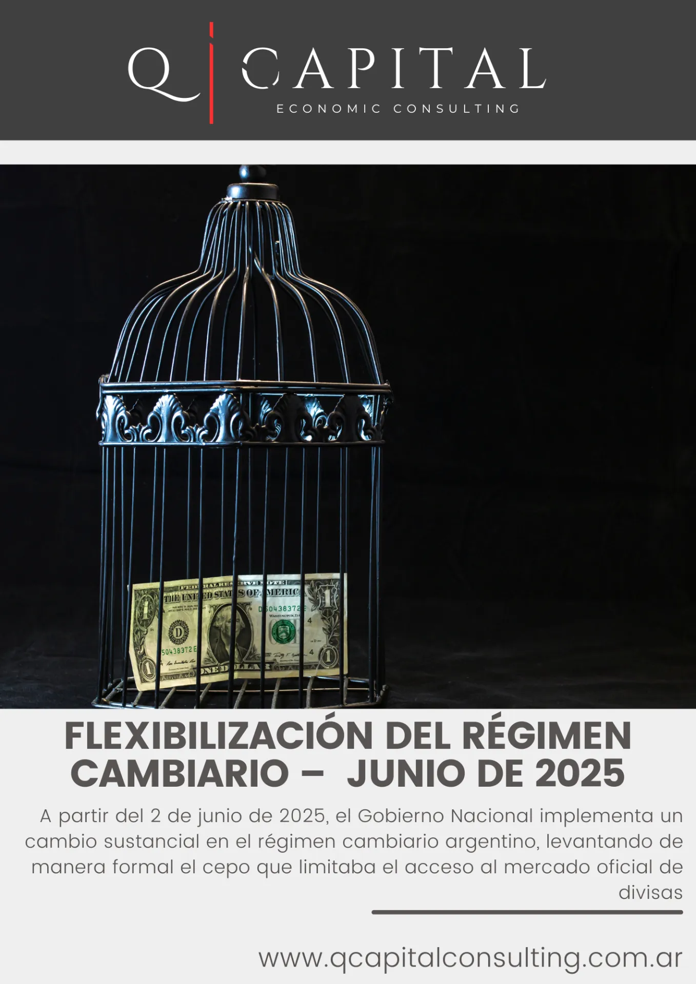 Flexibilización en el regimen cambiario