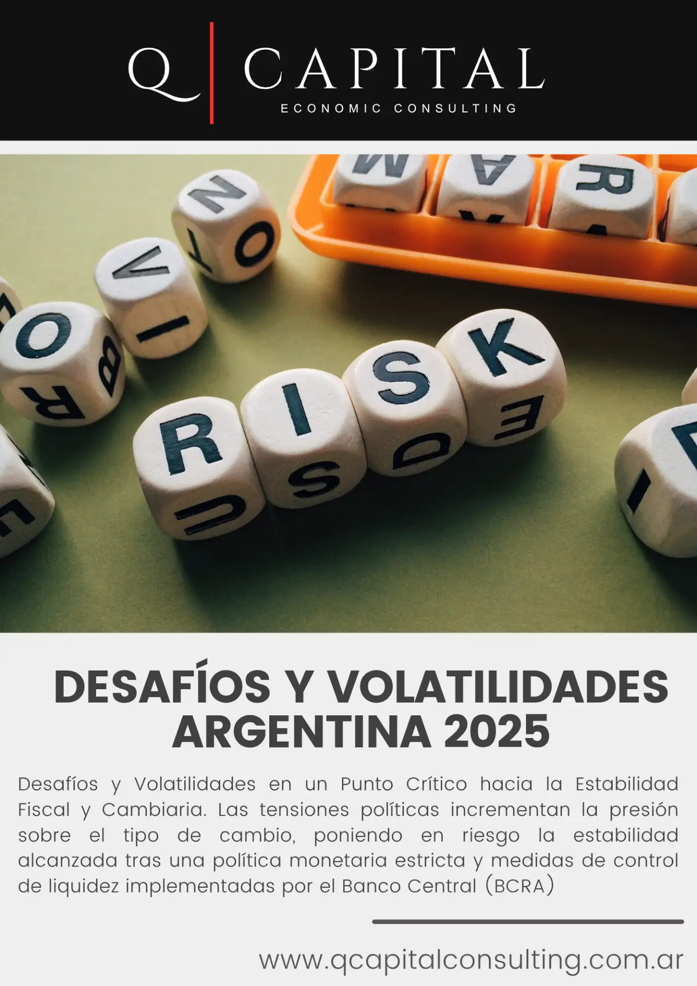 Desafíos y Volatilidades Argentina 2025