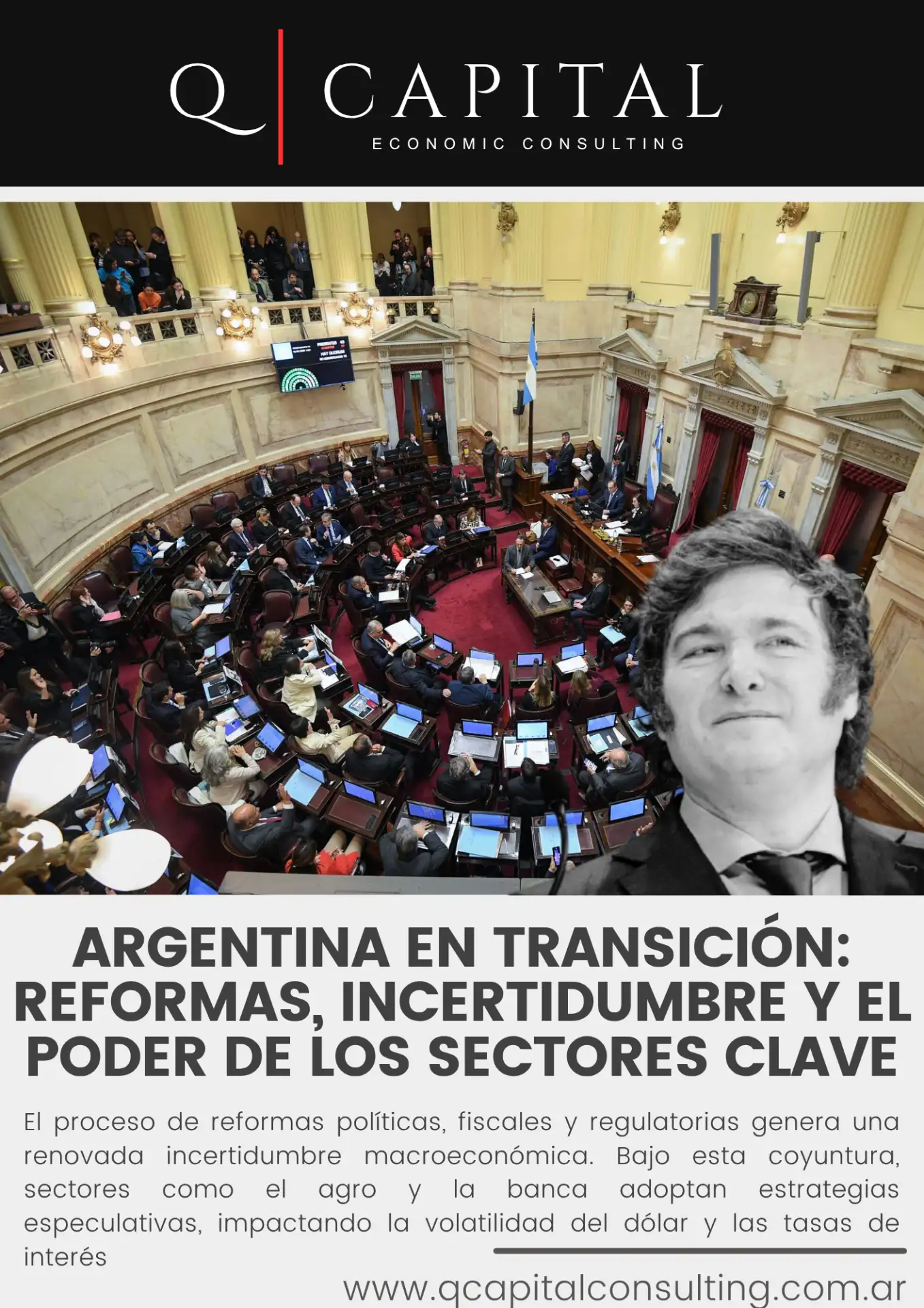 Argentina en Transición