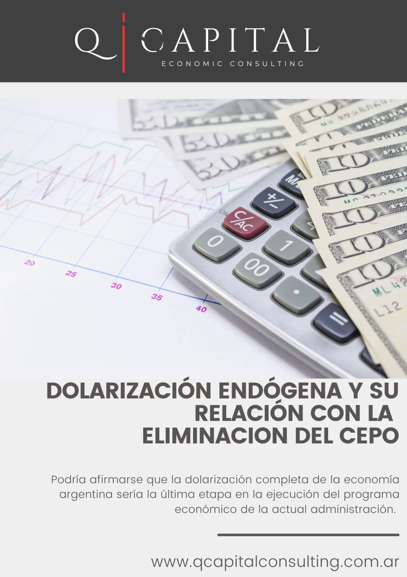 Dolarización endógena y su relación con la eliminacion del cepo